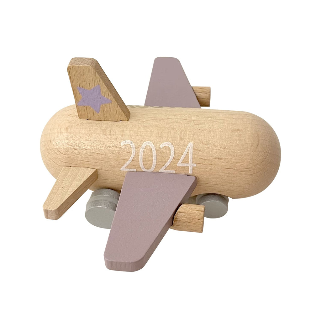 2024 mini jet