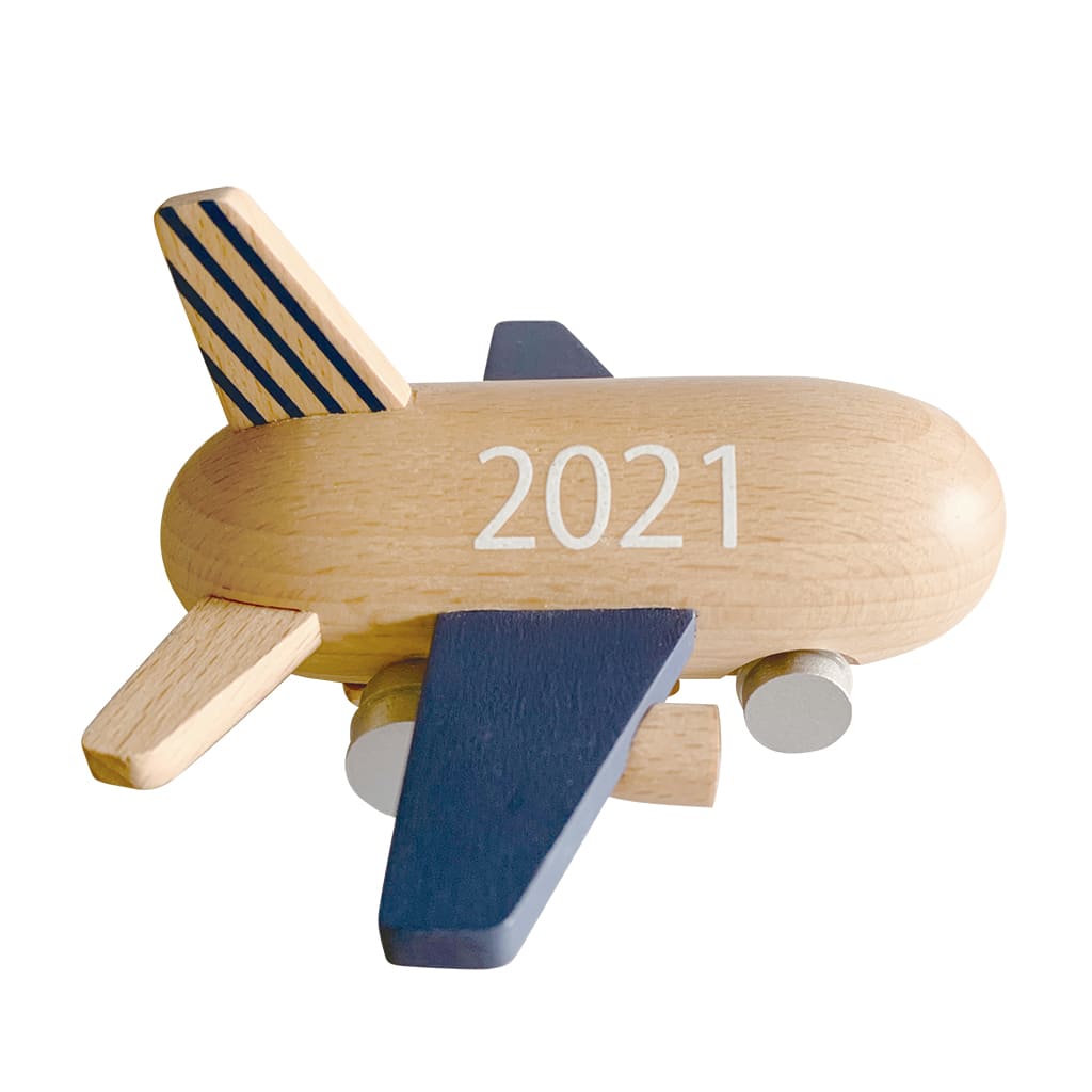 2021 mini jet