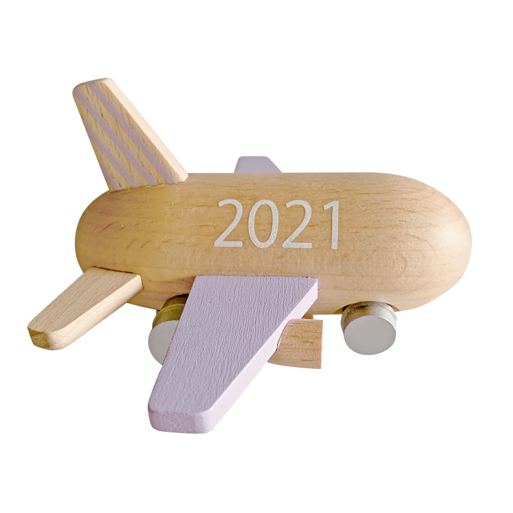 2021 mini jet