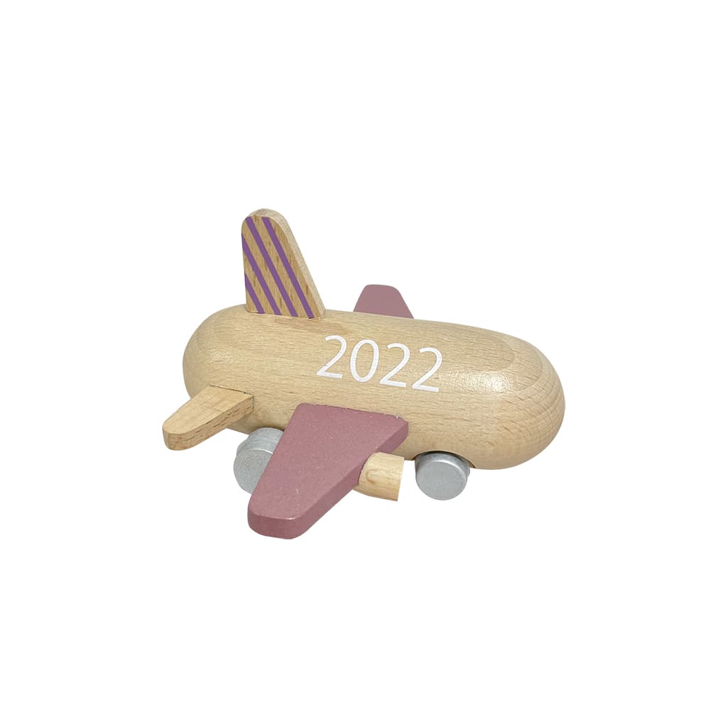 2022 mini jet